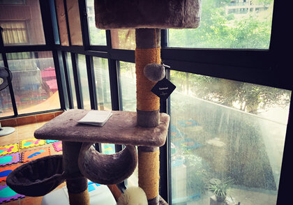 不仅仅是香薰,更是艺术品—日本aSigner香薰片品鉴