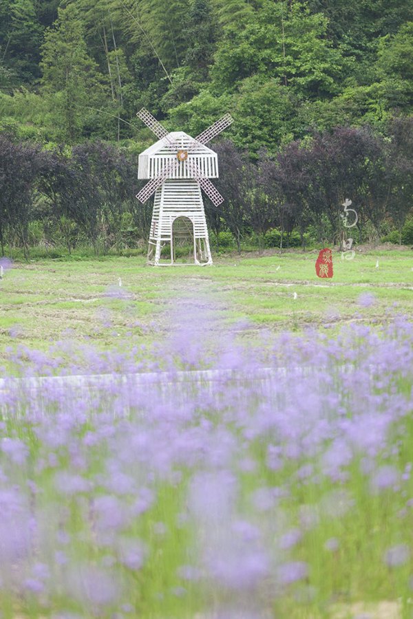 养在深闺里无人知,养在深闺无人识全文
