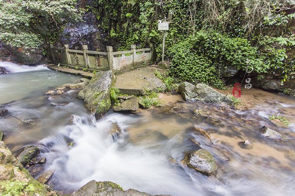 养在深闺里无人知,养在深闺无人识全文
