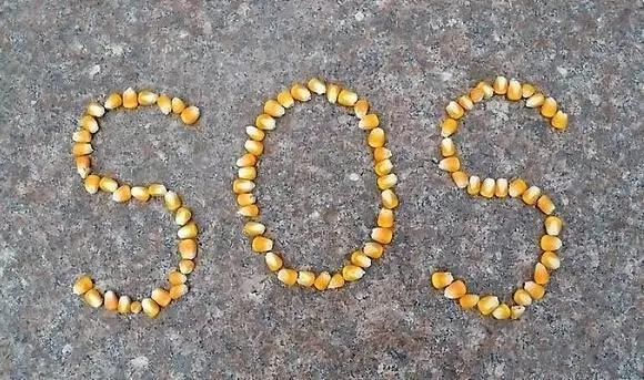 福清网上受骗,福清网友被骗经历