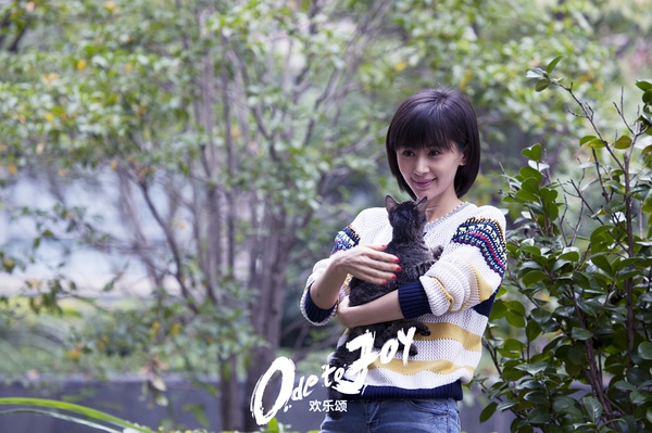 欢乐颂赵医生抱怨安迪,欢乐颂里曲筱绡给王柏川说大过年