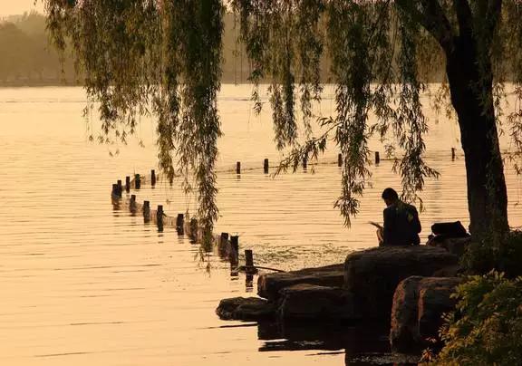 名人推荐最需要读的几本书,6册名人传记