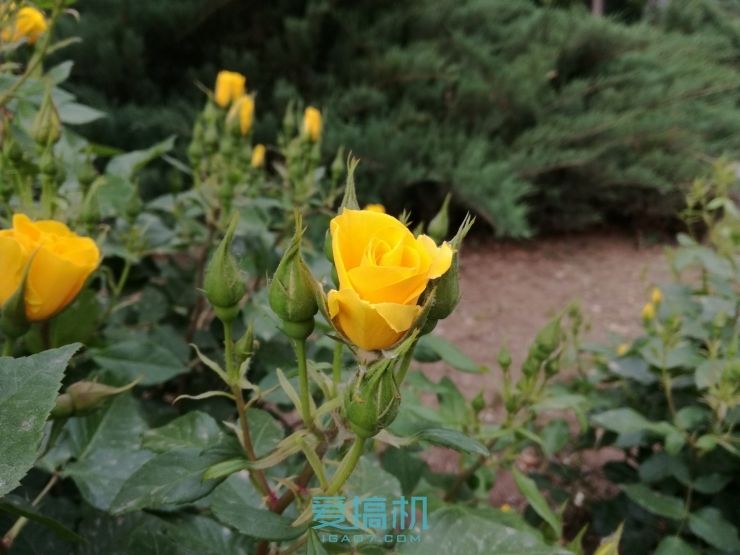 华为g9青春版和荣耀一样,华为g9青春版高通骁龙617