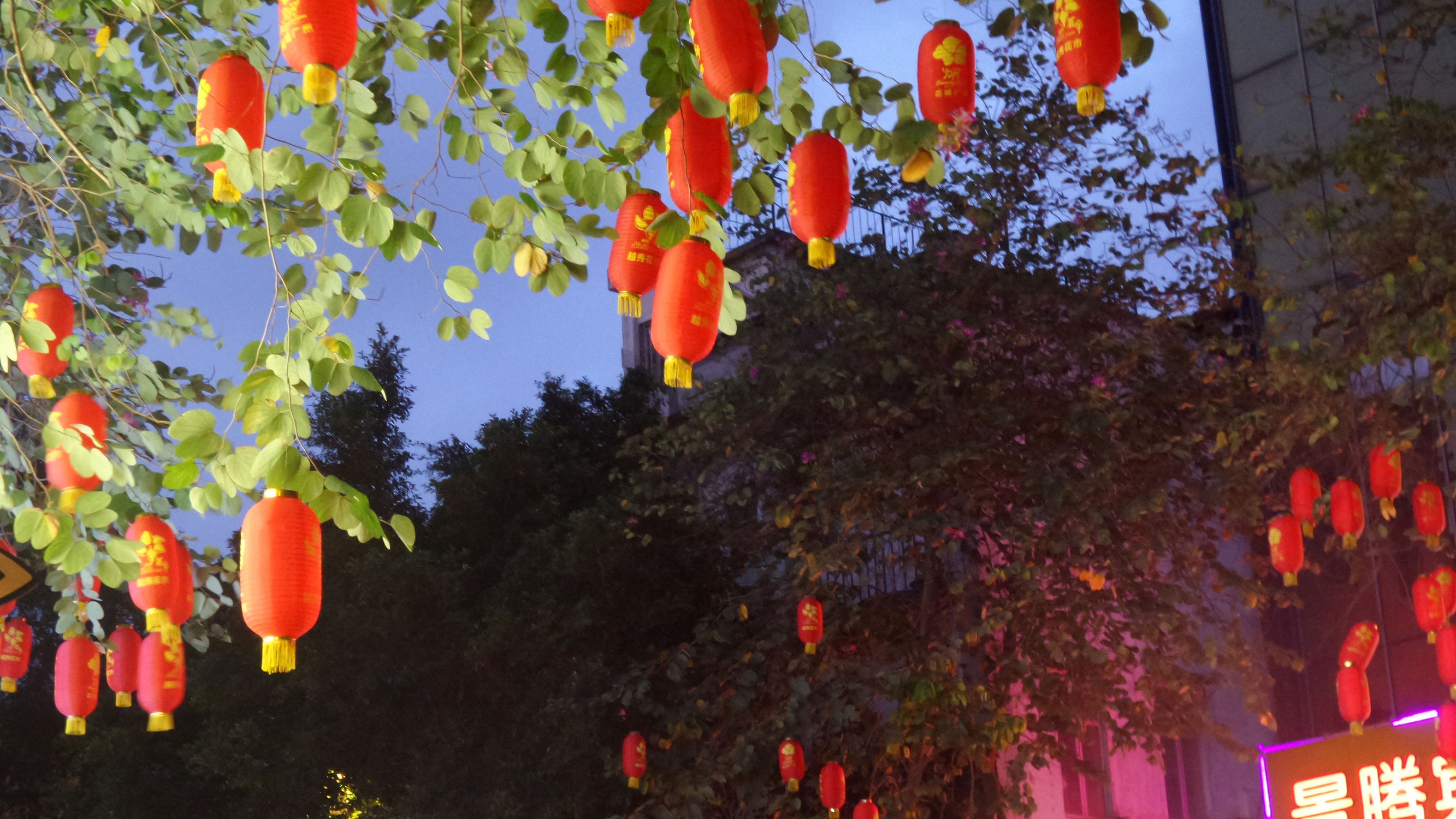 十倍光学变焦公认最好拍照手机,可变焦拍照神器