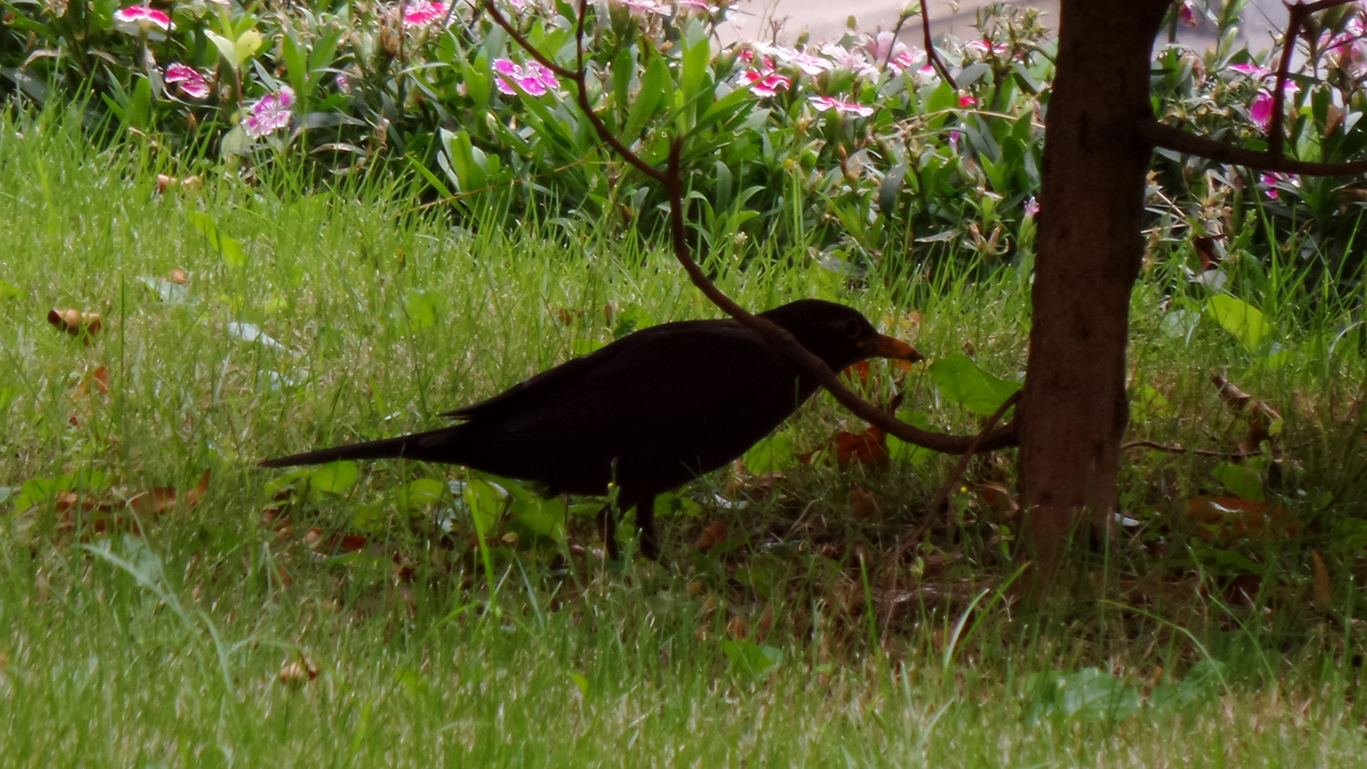 十倍光学变焦公认最好拍照手机,可变焦拍照神器