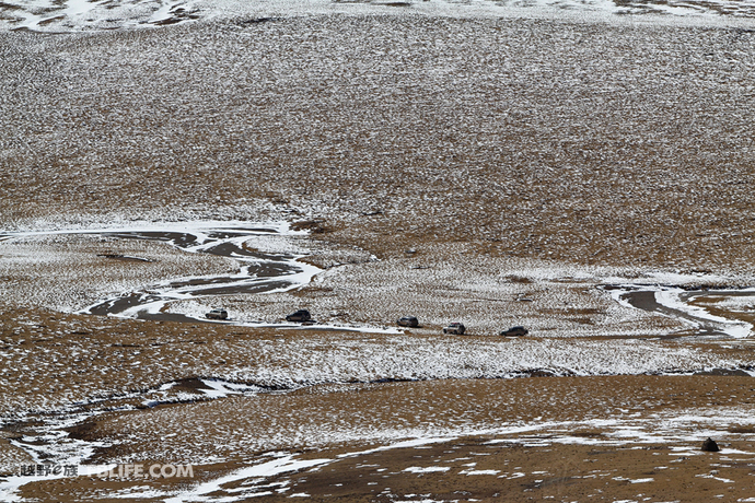 三江源途乐穿越,王者之约第二集