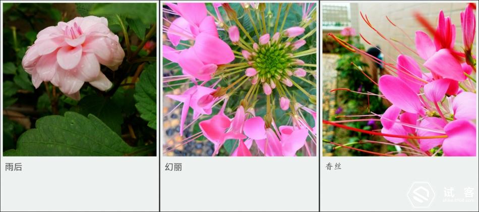 金立天鉴w909微信,金立天鉴w909主题