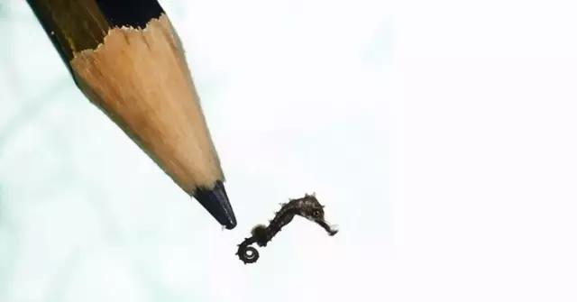 用我巨萌的强力剂,治愈你的宝宝萌化症