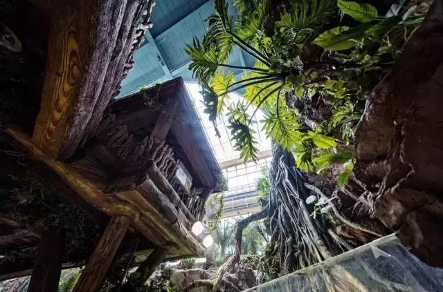 用我巨萌的强力剂,治愈你的宝宝萌化症