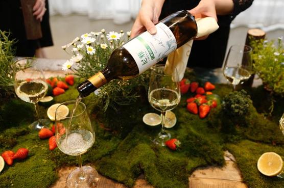 尼雅葡萄酒赤霞珠纯酿,尼雅葡萄酒金色西域精酿