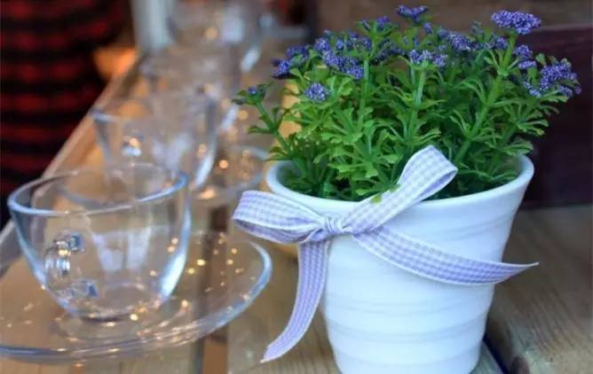 泡过的茶叶有什么妙用和功效,泡过的茶叶有什么功效和作用