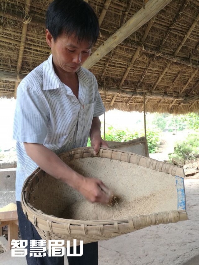 眉山百年古水碾“强悍”依旧，碾出米来“香得很”！