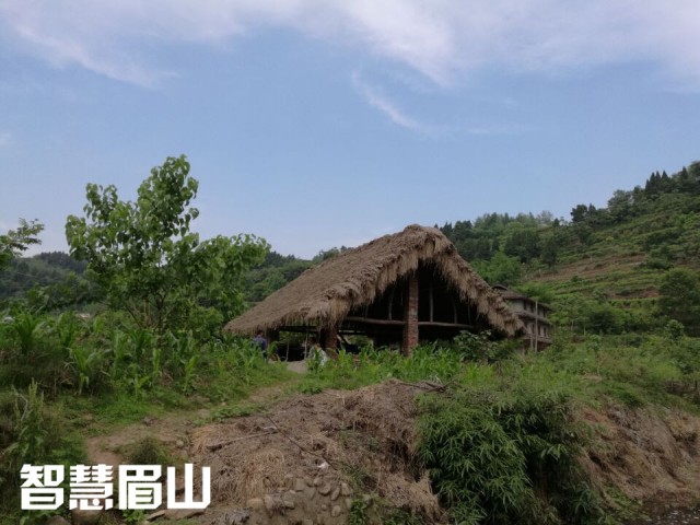 眉山百年古水碾“强悍”依旧，碾出米来“香得很”！