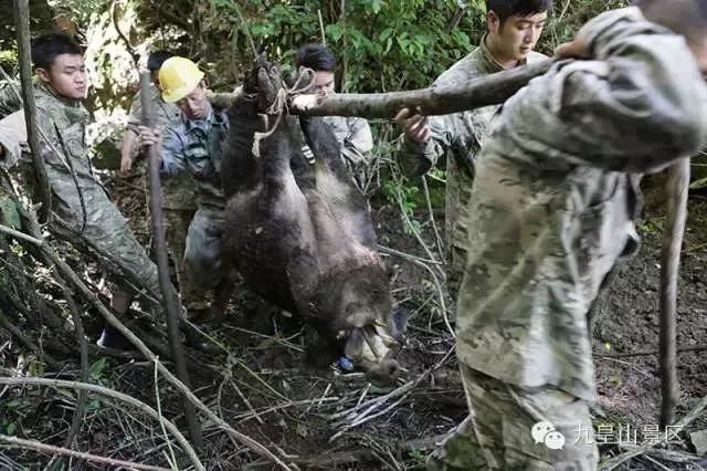 九皇山风景区,九顶皇山