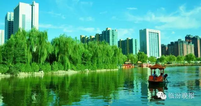 头条|我叫临汾,这是我的最新简历,请多关照!