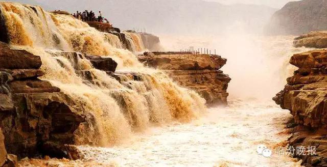 头条|我叫临汾,这是我的最新简历,请多关照!