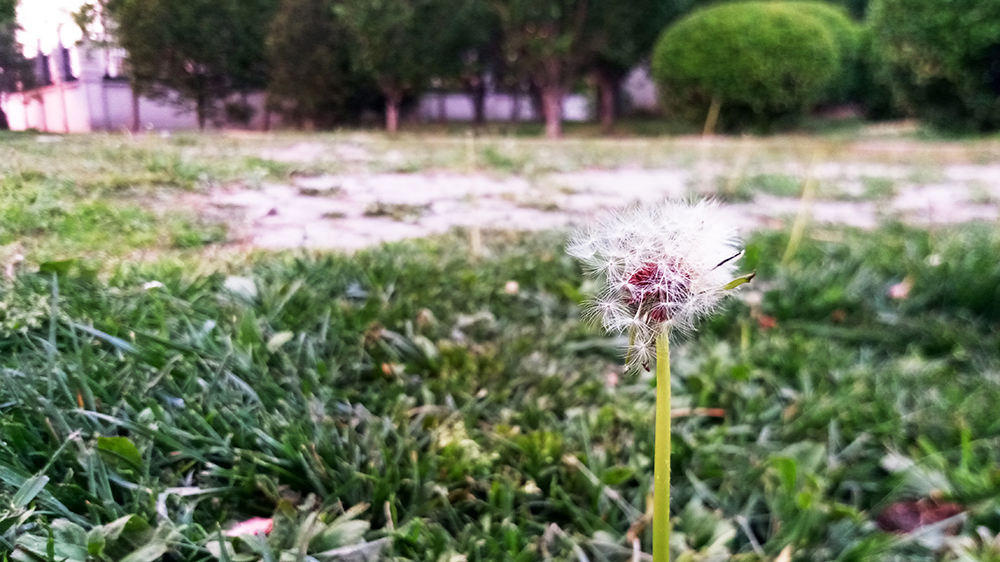 金立s8发布,金立旗舰s8手机评测