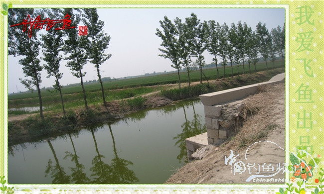 我爱飞鱼初探新钓点