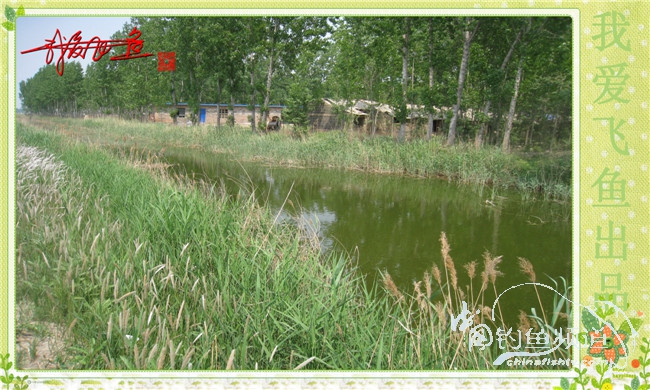 我爱飞鱼初探新钓点