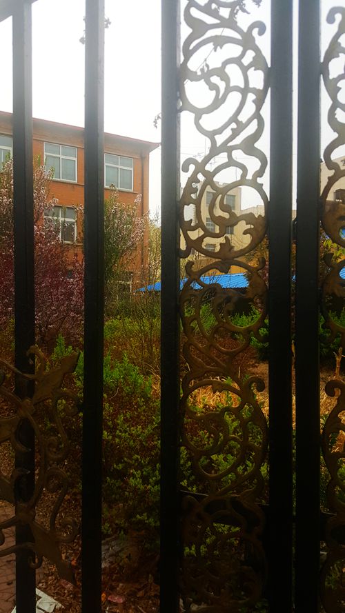 看乐亭小县城里的小市民,怎样装点生活