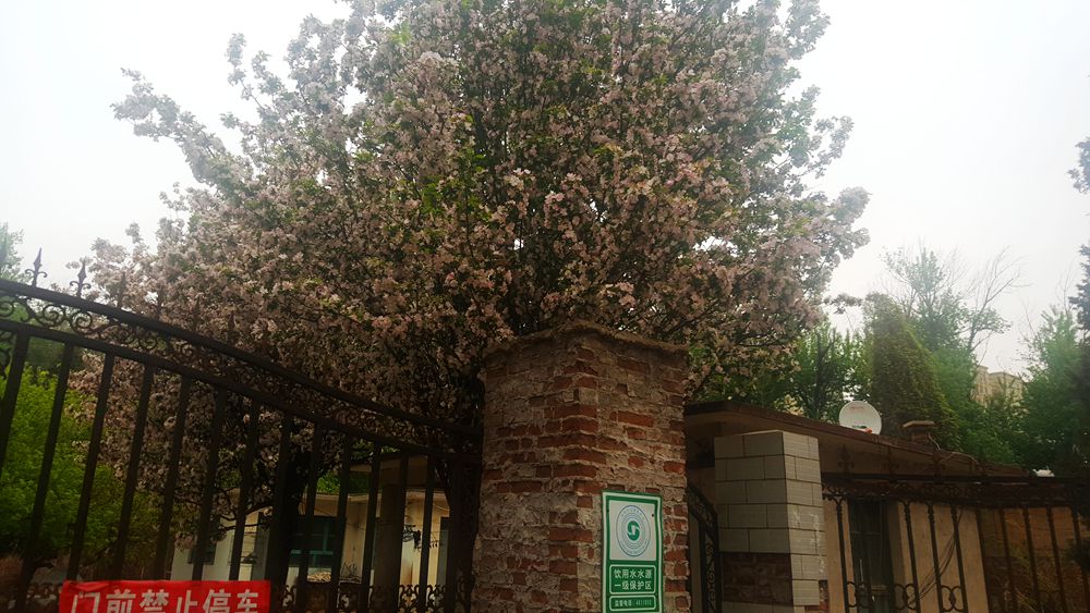 看乐亭小县城里的小市民,怎样装点生活