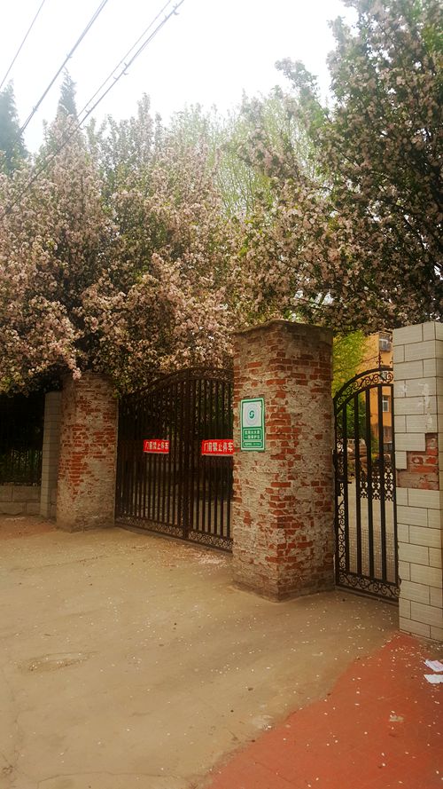 看乐亭小县城里的小市民,怎样装点生活