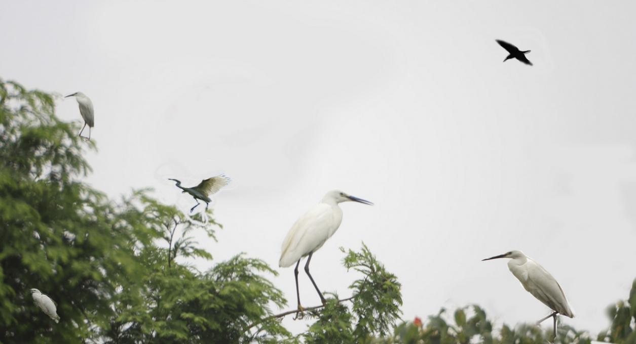 静谧书屋,静谧书舍