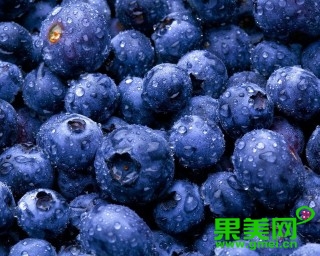 舌尖上的*疆新**:美丽黑色系——黑加仑葡萄你一定不知道这些