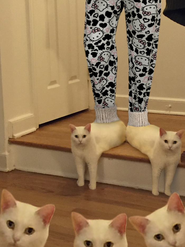 喵星人下楼梯魔性瞬间,被恶搞的喵星人