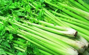 牙齿黄用牙齿美白仪怎么样,牙齿黄如何快速美白