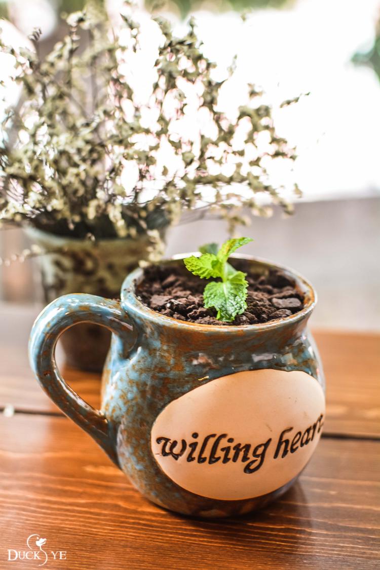 转角遇到爷茶,享一份慵懒的下午茶时光