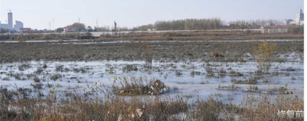 城市双修是什么,城市双修纪实