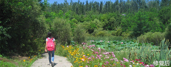 城市双修是什么,城市双修纪实