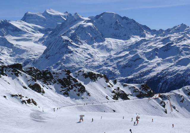 夏日乐悠最新视频,夏日乐悠游