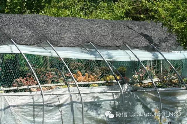 遮阳网的正确使用方法,遮阳网使用教学视频