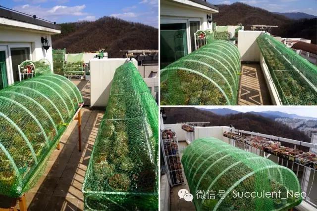 遮阳网的正确使用方法,遮阳网使用教学视频