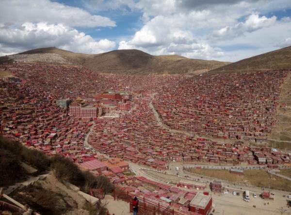 波隆冷链物流助力五明佛学院法会后勤