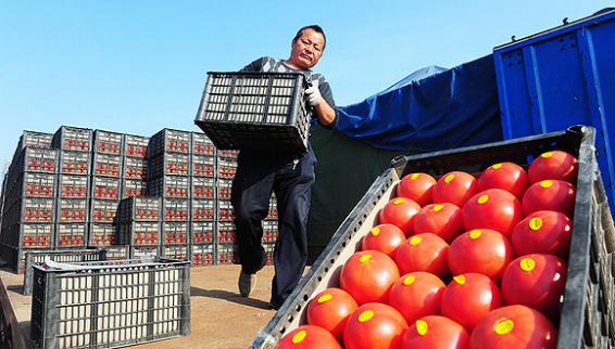 战火重燃京东vs阿里,农资电商价格战