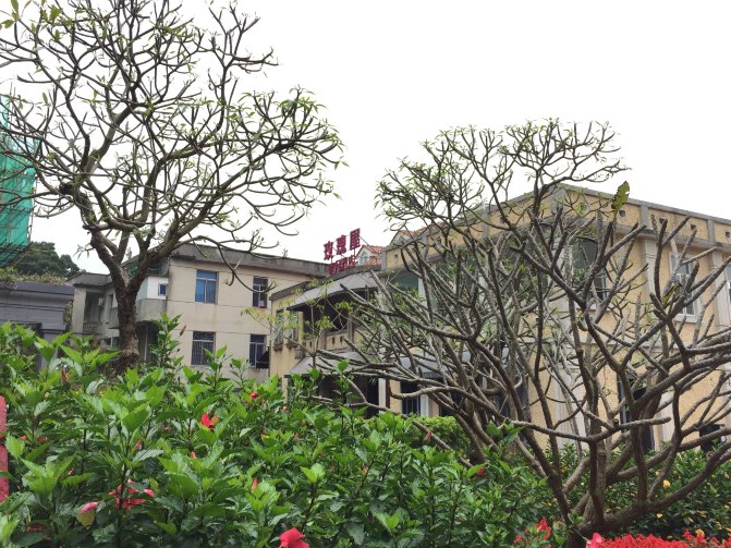 鼓浪屿自驾游全攻略,厦门鼓浪屿登岛全攻略