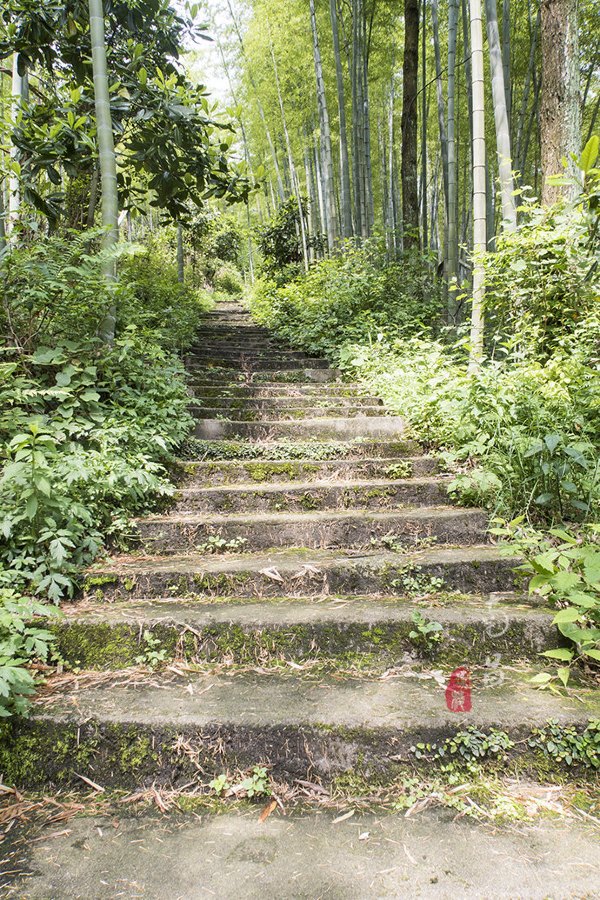 养在深闺里无人知,养在深闺无人识全文