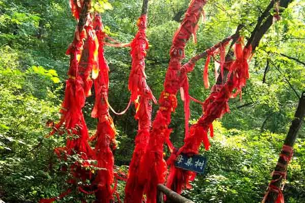 双阳吊水壶与神鹿峰国家森林公园,母亲节带着母亲游公园