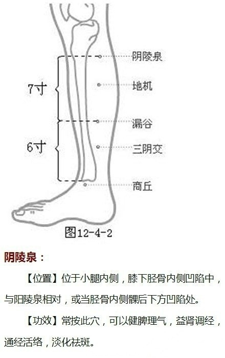 敲打全身经络能瘦身吗,按摩哪个穴位祛斑背部