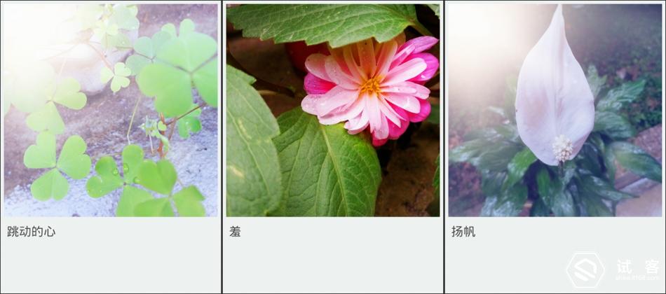 金立天鉴w909微信,金立天鉴w909主题