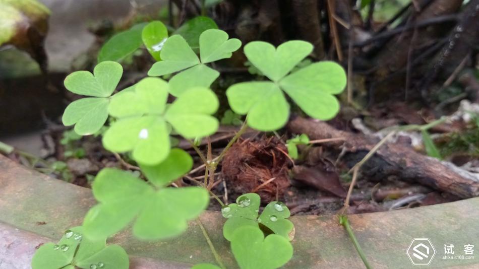 金立天鉴w909微信,金立天鉴w909主题