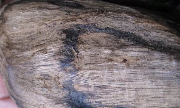 带你了解假沉香是怎么做的,假沉香制作视频