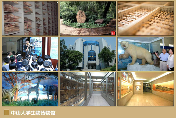 在广州有哪些适合亲子三天游,广州2大2小亲子游推荐攻略