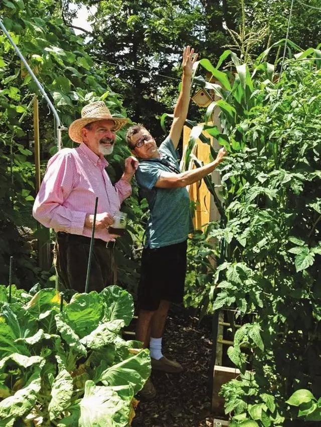 北美大叔玩起真实版开心农场,1平米菜园竟成国际潮流
