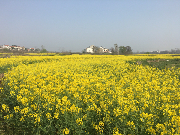 随州广水三潭风景区图片,随州广水三潭风景区门票价格
