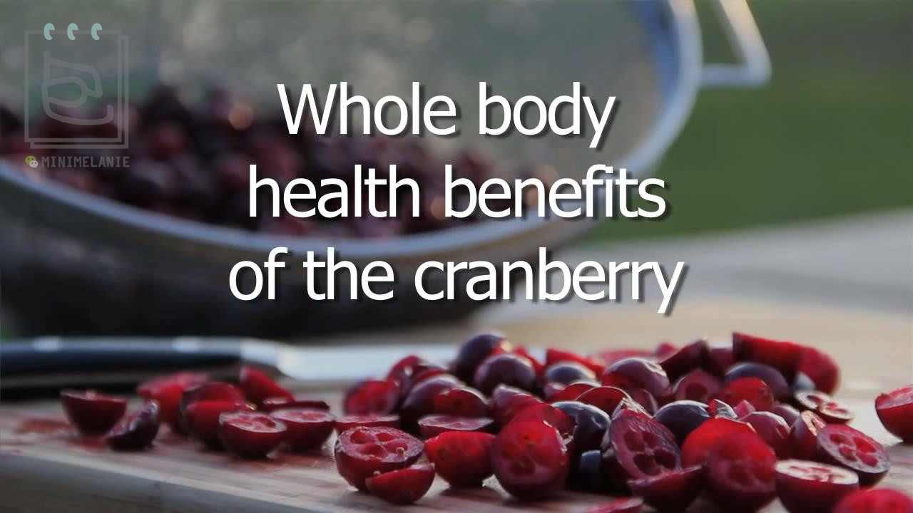 北美红宝石蔓越莓,北美红宝石蔓越莓干