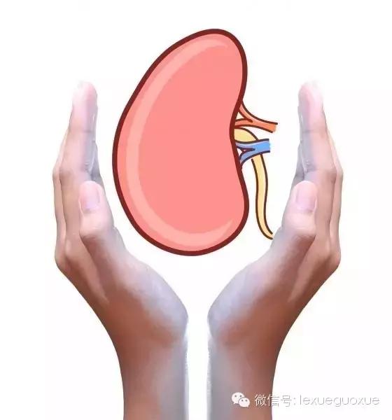 中医黄帝内经养生秘诀,黄帝内经讲养肾